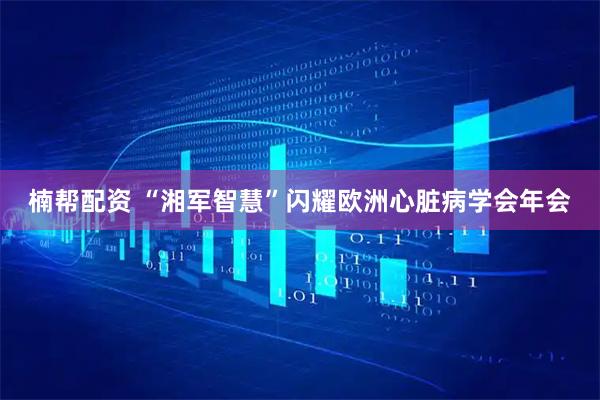 楠帮配资 “湘军智慧”闪耀欧洲心脏病学会年会