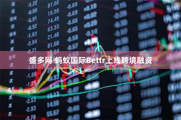 盛多网 蚂蚁国际Bettr上线跨境融资