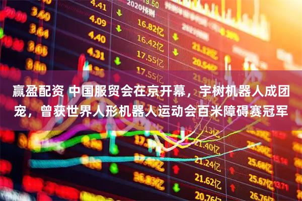 赢盈配资 中国服贸会在京开幕，宇树机器人成团宠，曾获世界人形机器人运动会百米障碍赛冠军