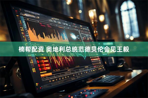 楠帮配资 奥地利总统范德贝伦会见王毅