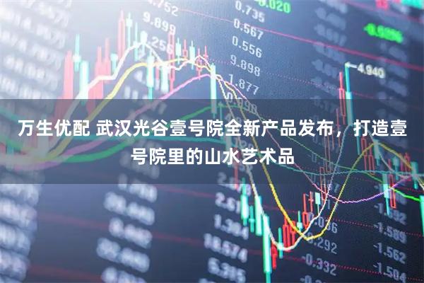 万生优配 武汉光谷壹号院全新产品发布，打造壹号院里的山水艺术品