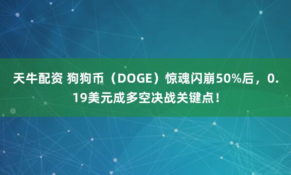 天牛配资 狗狗币（DOGE）惊魂闪崩50%后，0.19美元成多空决战关键点！