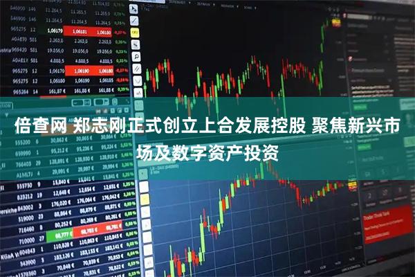 倍查网 郑志刚正式创立上合发展控股 聚焦新兴市场及数字资产投资