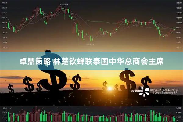卓鼎策略 林楚钦蝉联泰国中华总商会主席